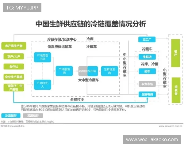 平台化运营成为体育服务供应链核心模式连接多元主体